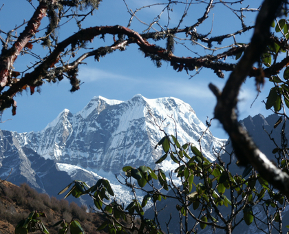 Gokyo & the Renjo La in Comfort